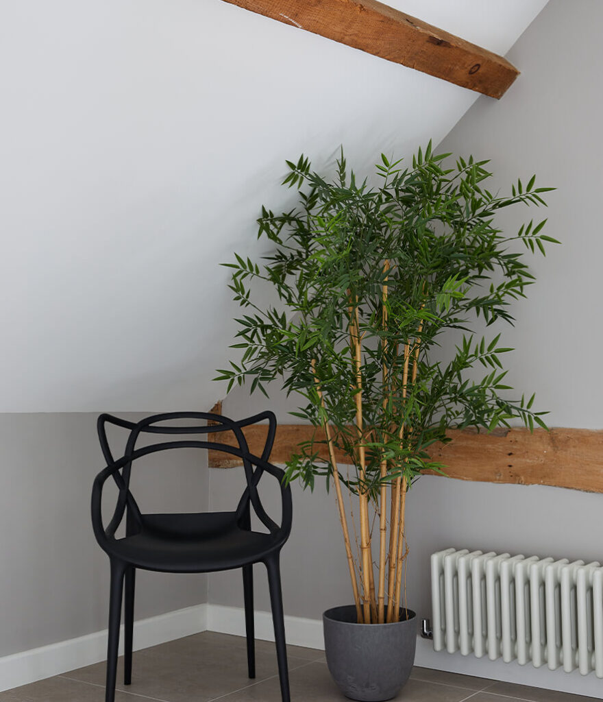 Minimalist Master ensuite in Ockham